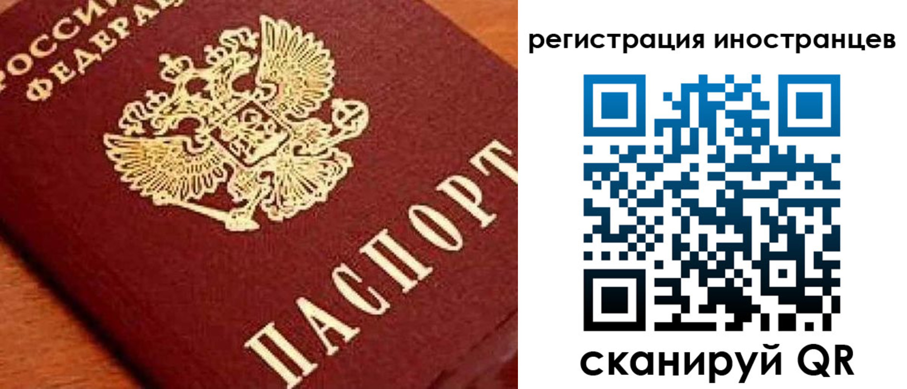 прописка для школы в Мичуринске